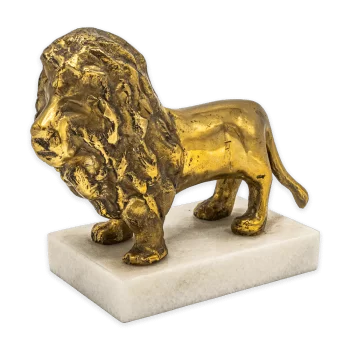 Strelitzia with Moon I-ilustratie-si-design-anca-popa